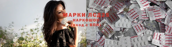 дживик Алзамай