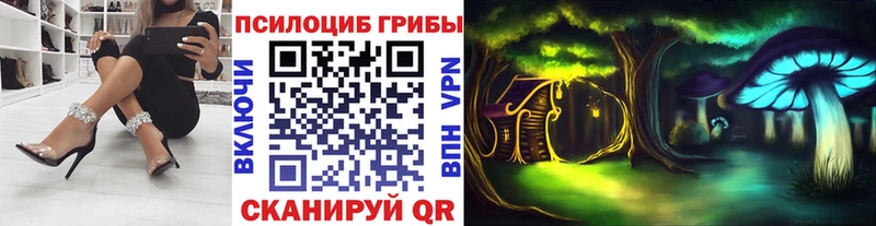 как найти закладки Краснокамск Галлюциногенные грибы GOLDEN TEACHER